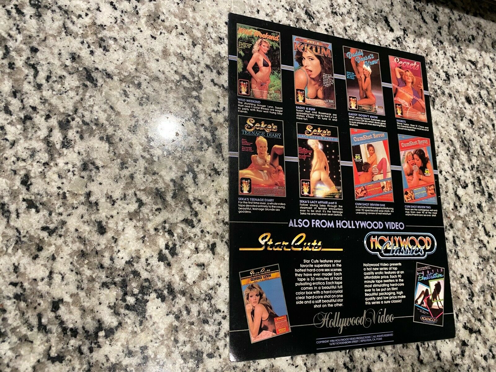 Hollywood Video VHS Promo Sales Brochure Christy Canyon & Ginger Lynn – AFI