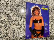 Load image into Gallery viewer, VCA Pictures January 1989 Promo Sales Brochure Megan Leigh &amp; Aja
